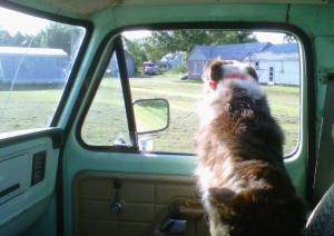 303885_1968466819972_1185591526_n